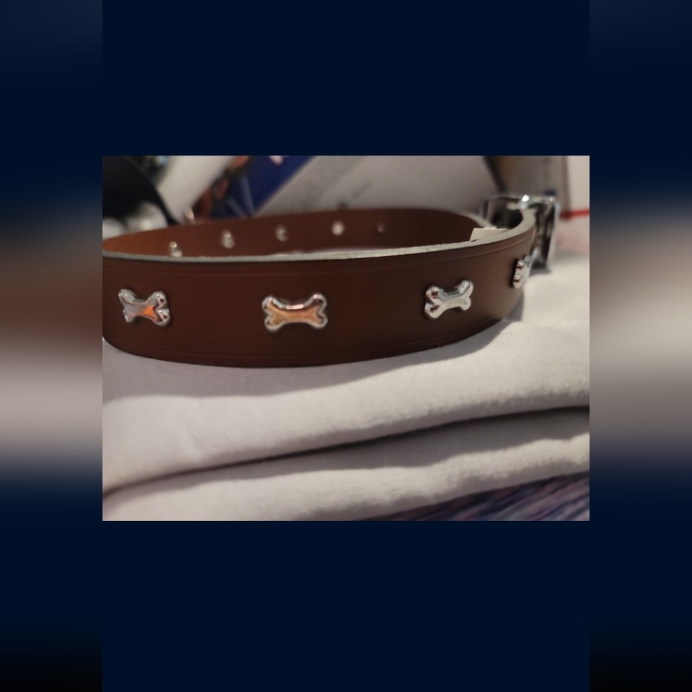 Dog collar